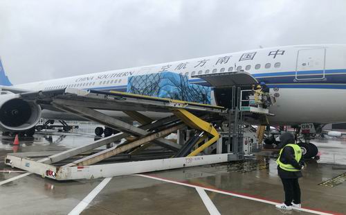 1604454048597065.jpg 1600239900590568.jpg